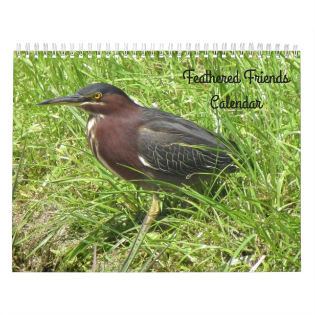 Mural Amis de plumes - Calendrier des oiseaux (Protection)