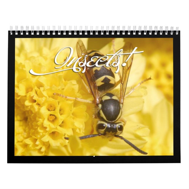 Mural Beau calendrier des insectes 2018 (Protection)