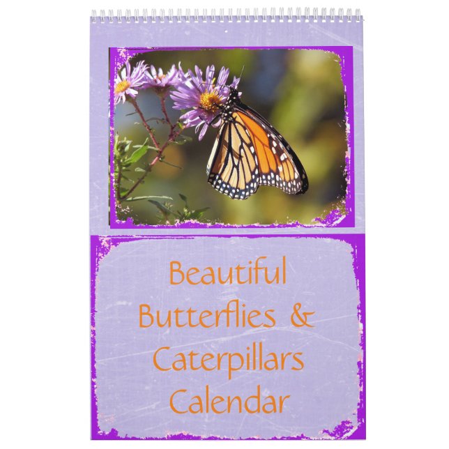 Mural Belles papillons et chenilles Calendrier (Protection)