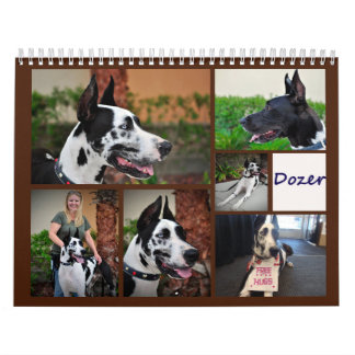 Mural Bouteur le calendrier de chien de thérapie