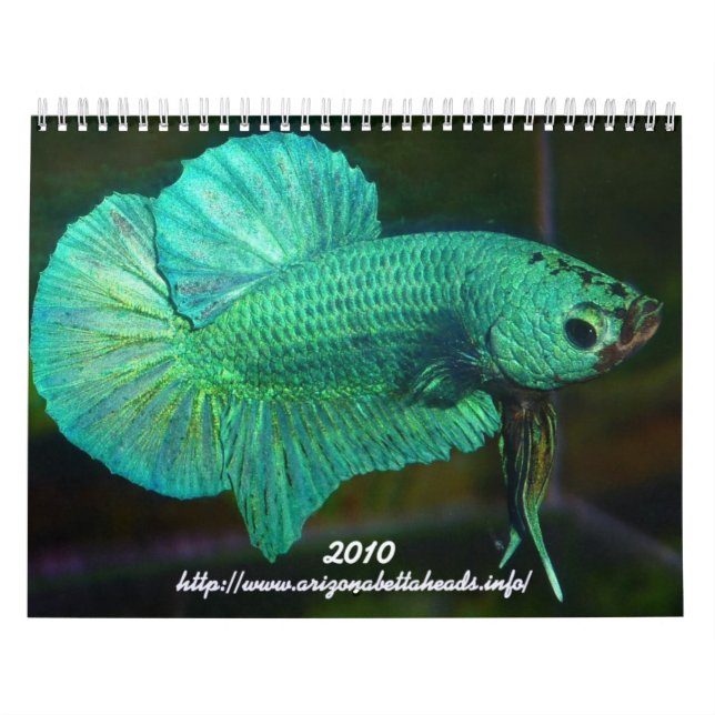 Mural Calendrier 2010 de Betta (Protection)