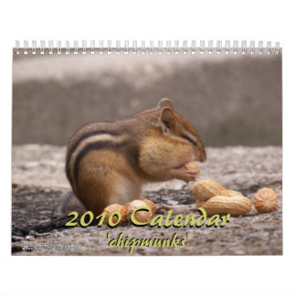 Mural Calendrier 2010 de tamia