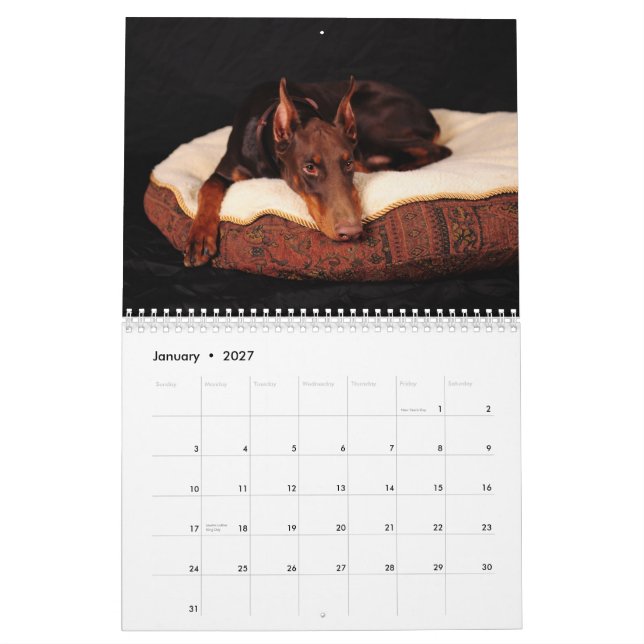 Mural Calendrier 2012 de dobermann (Jan 2027)