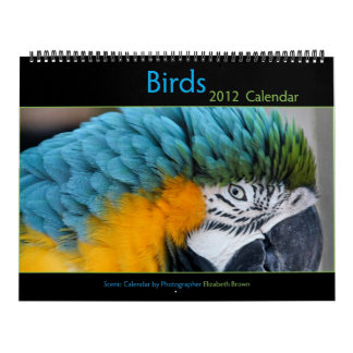 Mural Calendrier 2012 d'oiseau