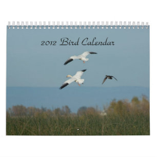 MURAL CALENDRIER 2012 D'OISEAU
