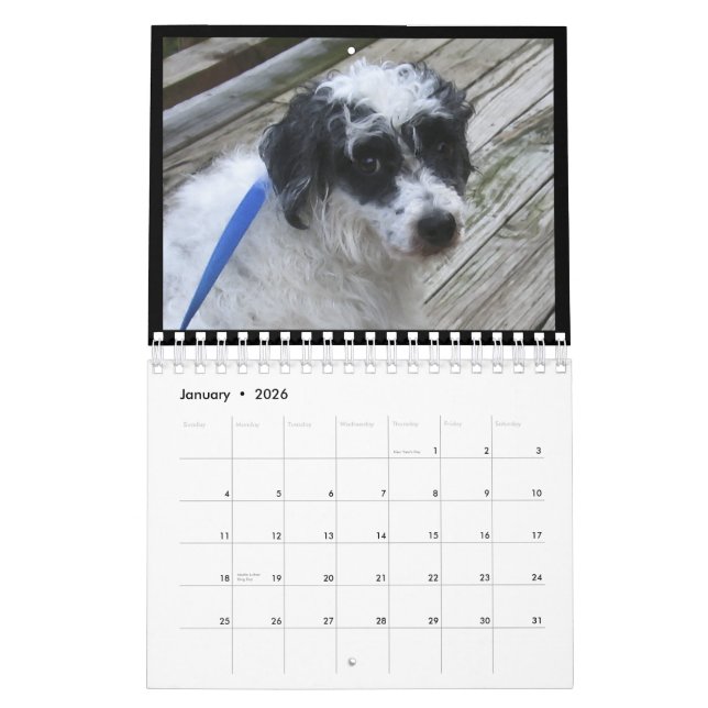 Mural calendrier 2012 pour chiens sans cheveux (Jan 2026)