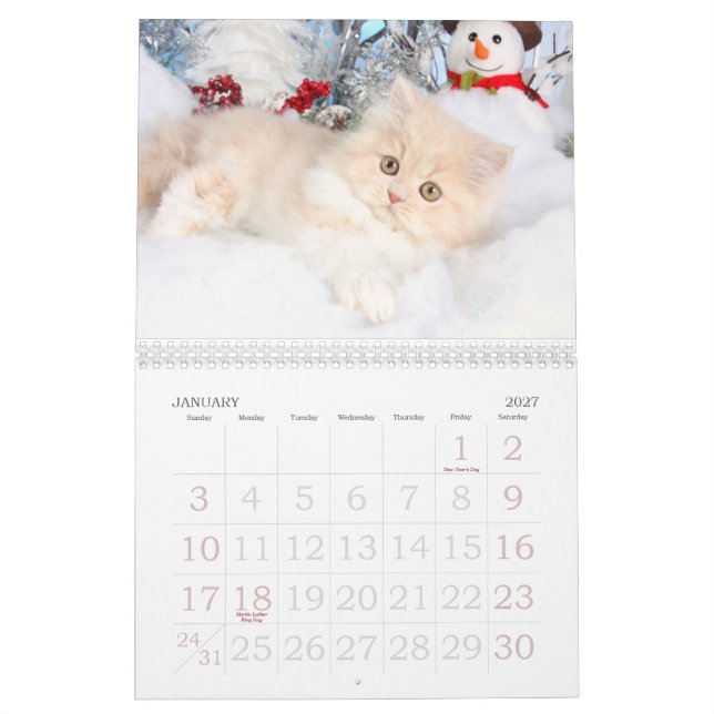 Mural Calendrier 2013 (Jan 2027)
