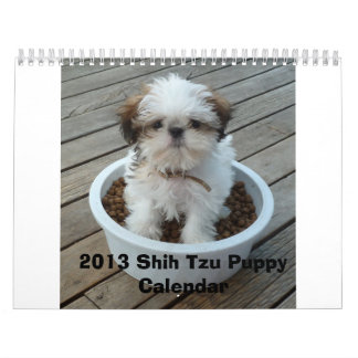 Mural Calendrier 2013 de chiot de Shih Tzu