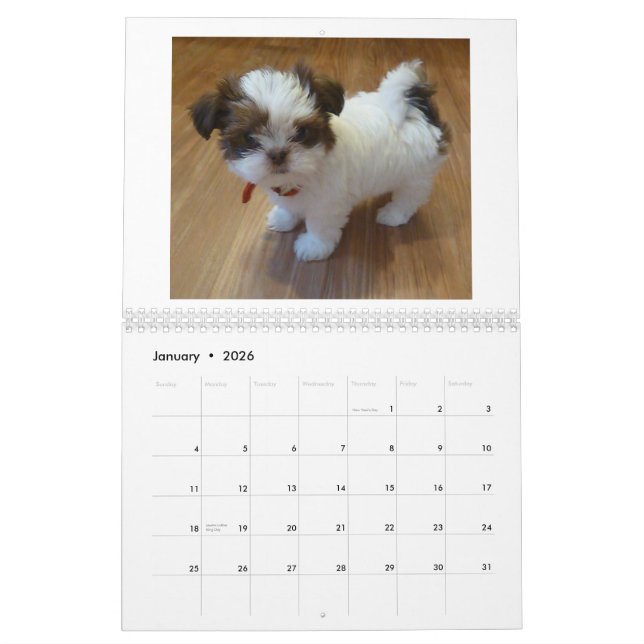 Mural Calendrier 2013 de chiot de Shih Tzu (Jan 2026)