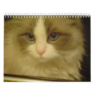 Mural Calendrier 2013 de compte à rebours