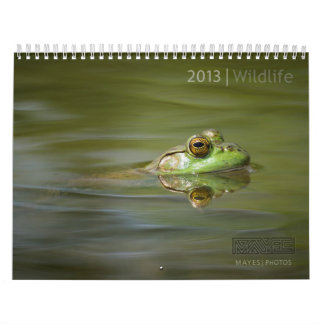 MURAL CALENDRIER 2013 DE FAUNE PAR DES PHOTOS DE MAYES