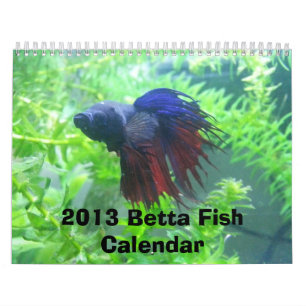 Mural Calendrier 2013 de poissons de Betta