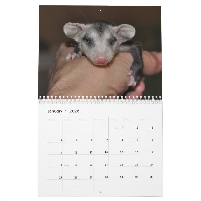 Mural Calendrier 2014 - Babies Possum (Jan 2026)