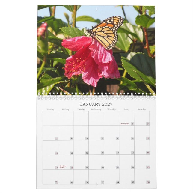 Mural Calendrier 2014 de papillon (Jan 2027)