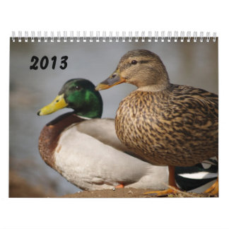 Mural Calendrier 2014 de sportifs de canards de Mallard