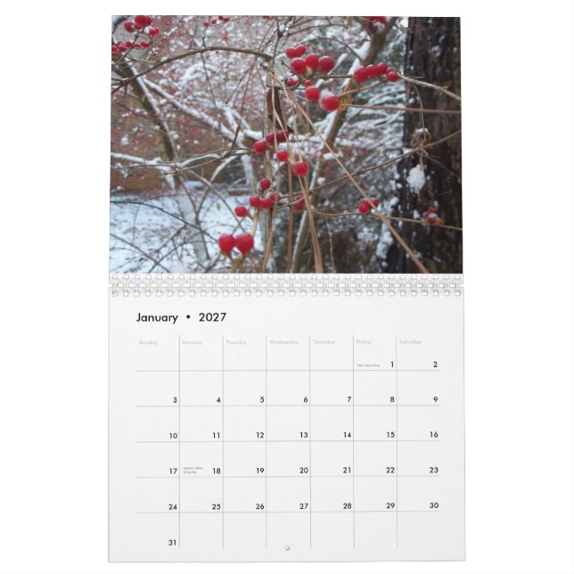 Mural Calendrier 2015 (Jan 2027)