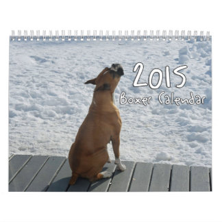 Mural Calendrier 2015 de boxeur