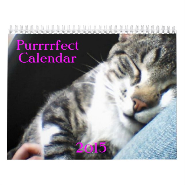 Mural Calendrier 2015 de chats et de chatons (Protection)