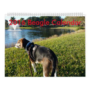 Mural Calendrier 2016 de beagle
