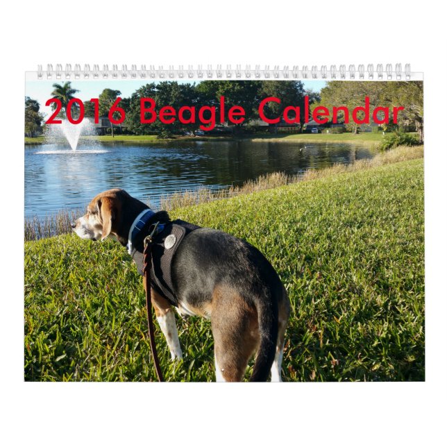 Mural Calendrier 2016 de beagle (Protection)