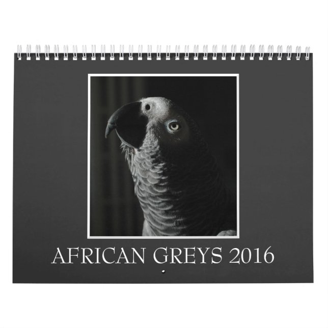 Mural Calendrier 2016 de perroquet de gris africain du (Protection)
