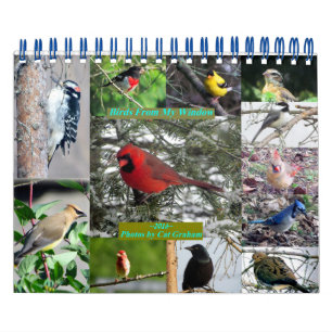 Mural Calendrier 2016 Des Oiseaux De Ma Fenêtre