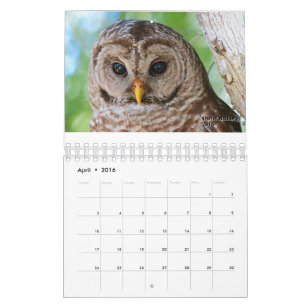 Mural Calendrier 2016 d'OwlWatch