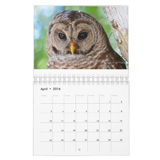 Mural Calendrier 2016 d'OwlWatch