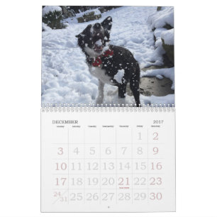 Mural Calendrier 2017 de border collie