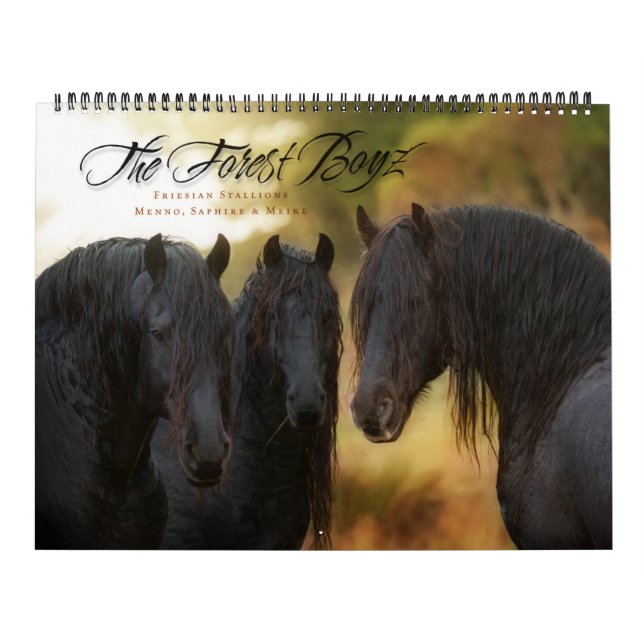 Mural Calendrier 2017 de Boyz de forêt (Protection)