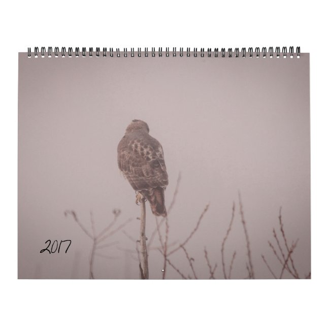 Mural Calendrier 2017 de faune (Protection)