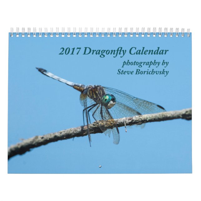 Mural Calendrier 2017 de libellule (Protection)