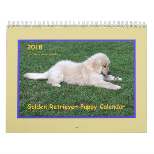 Mural Calendrier 2018 de chiot de golden retriever