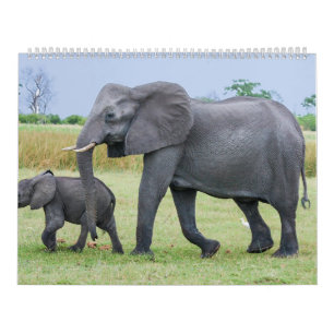 Mural Calendrier africain de safari
