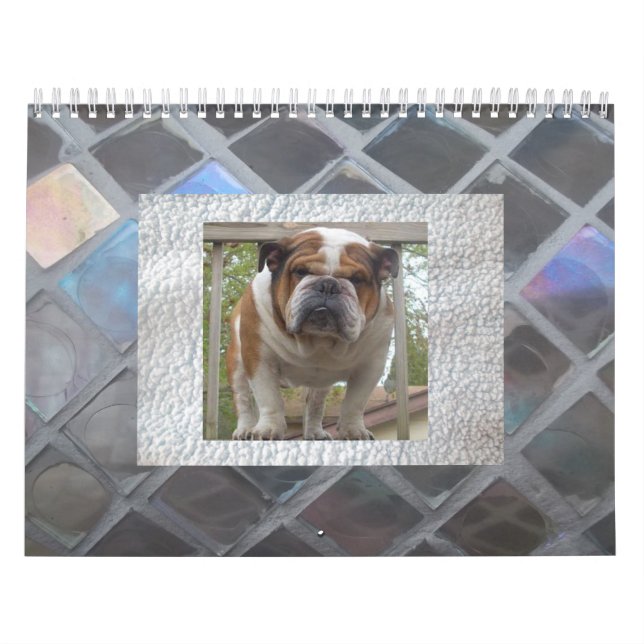 Mural Calendrier anglais de bouledogue (Protection)