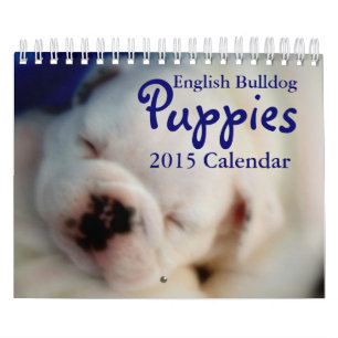 Mural Calendrier anglais des chiots 2015 de bouledogue