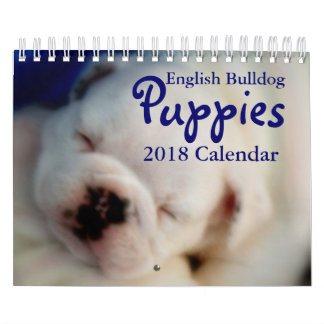 Mural Calendrier anglais des chiots 2018 de bouledogue