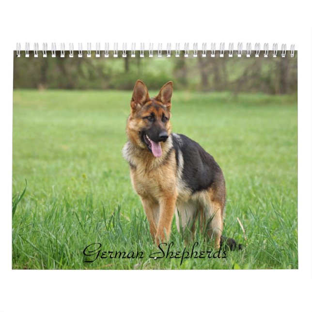 Mural Calendrier berger allemand (Protection)