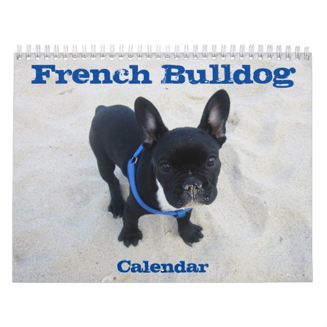 Mural Calendrier Bulldog Français 2026 Design It (Protection)