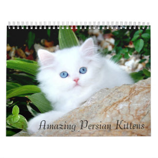 Mural Calendrier confortable de chatons