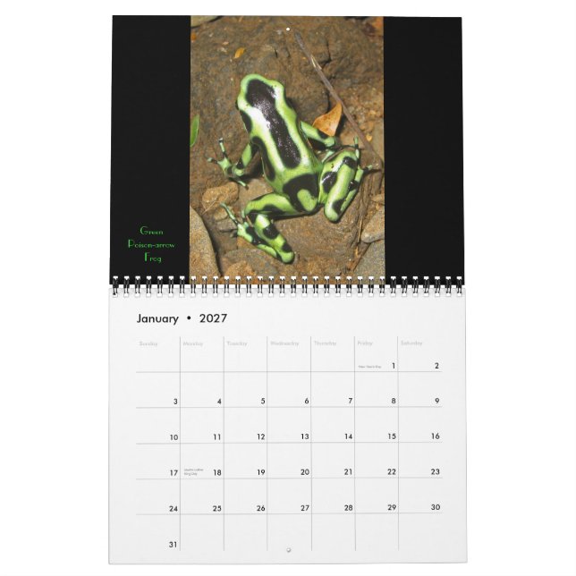 Mural Calendrier Costa Rica 2011 (Jan 2027)