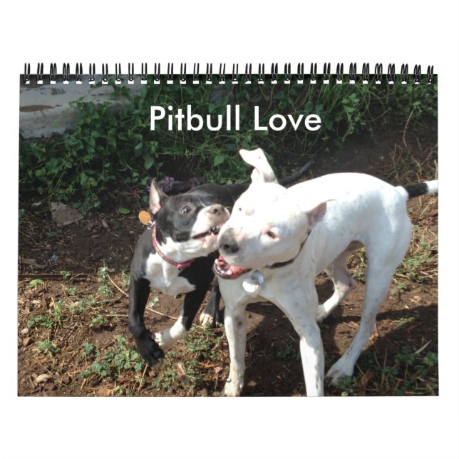 Mural Calendrier d'amour Pitbull (Protection)