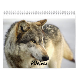 Mural Calendrier de 2009 loups