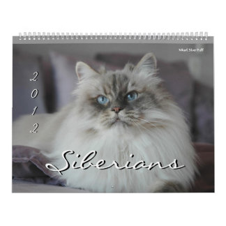 Mural Calendrier de 2014 de Sibériens chats et de