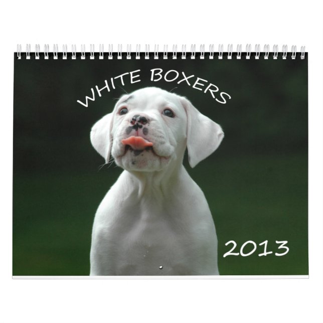 Mural Calendrier de boxeur de 2013 blancs (Protection)