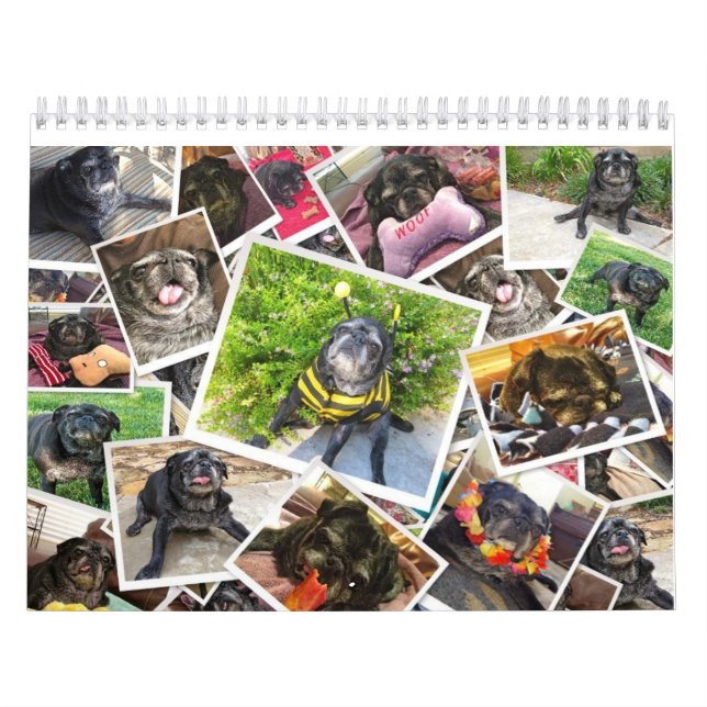 Mural Calendrier de Bumblesnot 2014 (Protection)