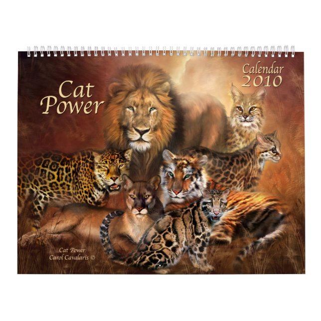 Mural Calendrier de Cat Power 2010 (Protection)