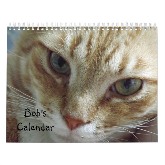 Mural Calendrier de chat Tabby Orange avec Bob (Protection)