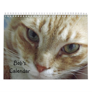 Mural Calendrier de chat Tabby Orange avec Bob