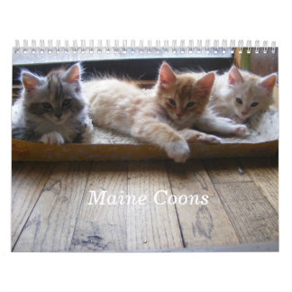 Mural Calendrier de chaton de ragondin du Maine